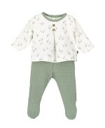 Conjunto 2p Pelitre