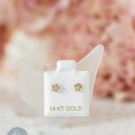 Aretes zirconia estrellita