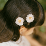 Set Petite Blow Clips Rosa
