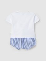 Conjunto Ballena - Imagen 2